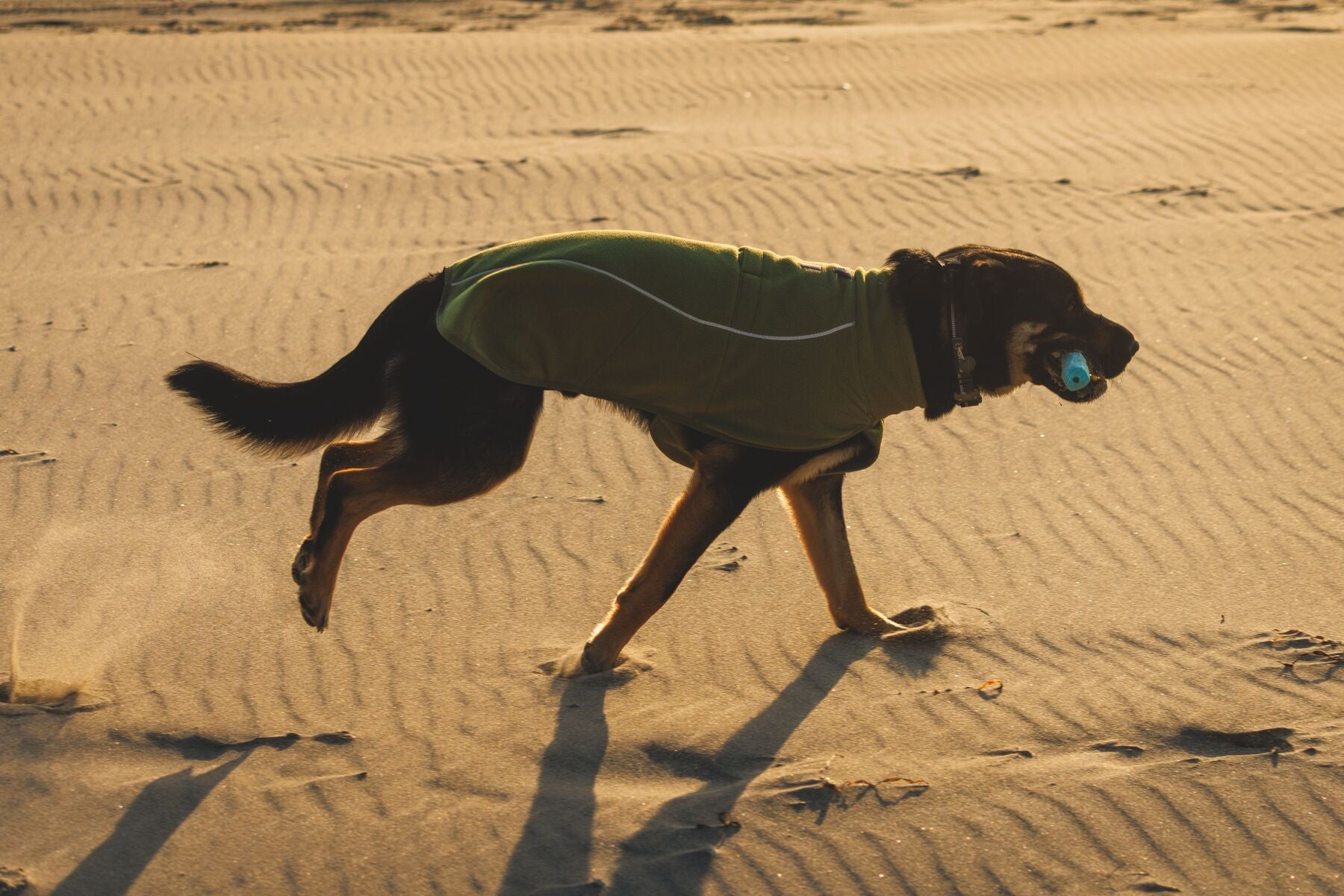 Climate Changer™ Fleece Vest (Ruffwear) - SnowPaw Store - Ruffwear - Dog Coats